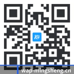 系统版 iOS 二维码